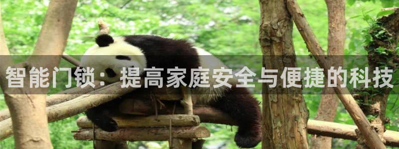 开丰娱乐登录平台：智能门锁：提高家庭安全与便捷的科技