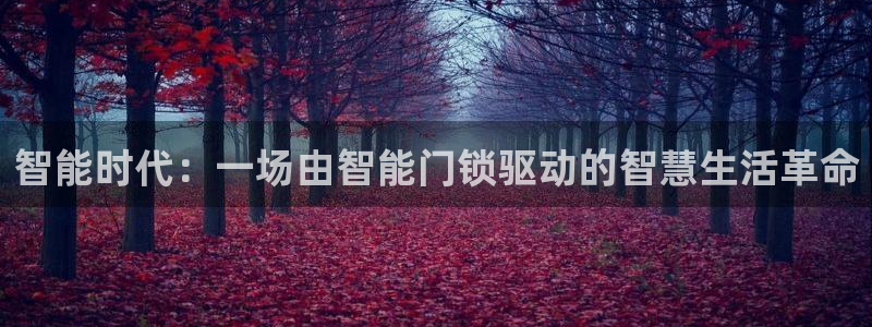 开丰娱乐登录地址入口：智能时代：一场由智能门锁驱动的智慧生活
