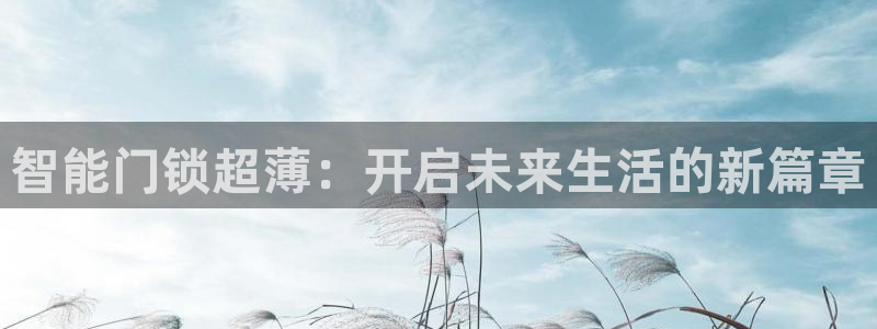 开丰娱乐平台注册时间：智能门锁超薄：开启未来生活的新篇章