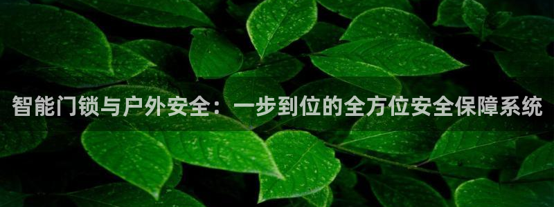 开丰娱乐官网最新消息：智能门锁与户外安全：一步到位的全方位安