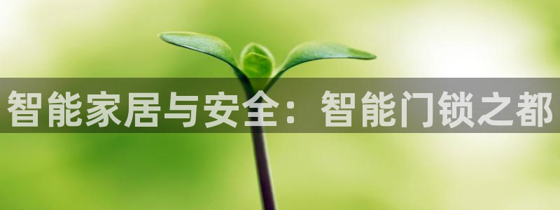 开丰娱乐测速：智能家居与安全：智能门锁之都