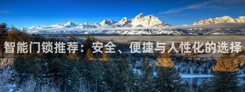 开丰娱乐平台：智能门锁推荐：安全、便捷与人性化的选择