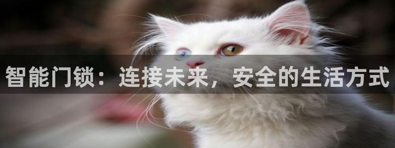 下载开丰娱乐：智能门锁：连接未来，安全的生活方式