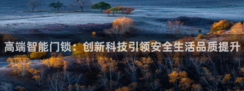开丰娱乐月7O667：高端智能门锁：创新科技引领安全生活品质