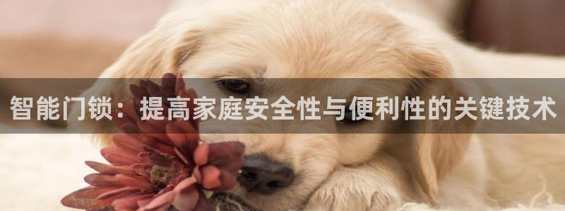 开丰娱乐登录：智能门锁：提高家庭安全性与便利性的关键技术