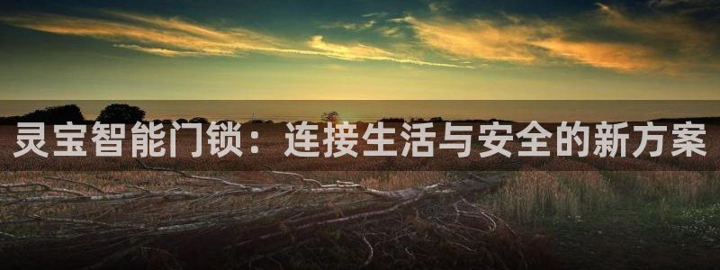 开丰娱乐注册登录：灵宝智能门锁：连接生活与安全的新方案