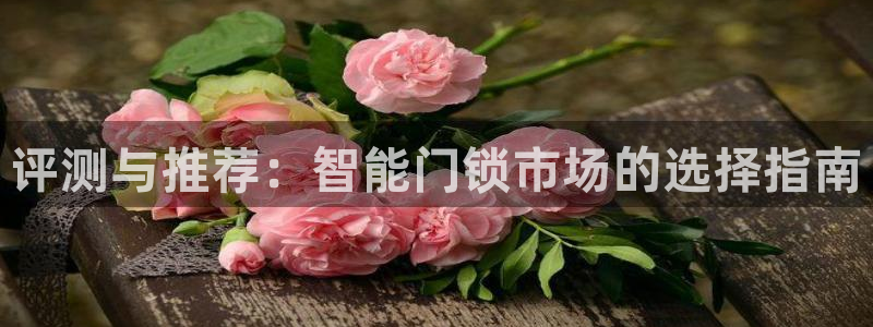 开丰娱乐靠谱吗：评测与推荐：智能门锁市场的选择指南