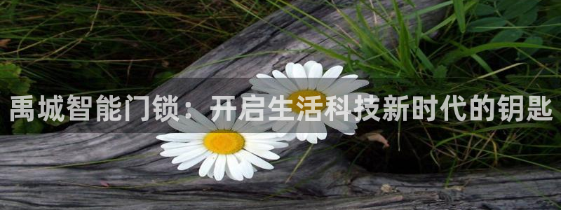 开丰娱乐注册资金多少：禹城智能门锁：开启生活科技新时代的钥匙