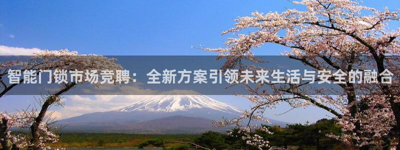 开丰娱乐右7O667：智能门锁市场竞聘：全新方案引领未来生活