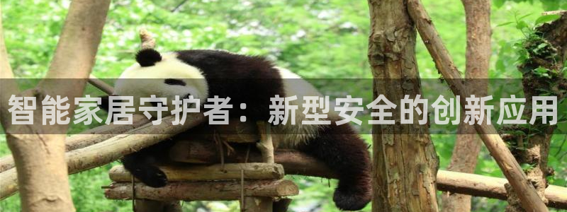 开丰娱乐官网平台电话：智能家居守护者：新型安全的创新应用