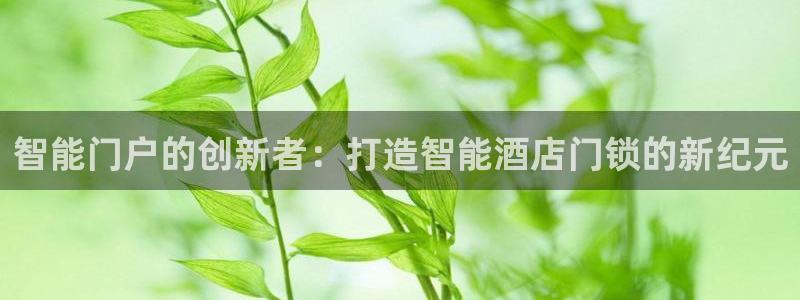 开丰娱乐日：智能门户的创新者：打造智能酒店门锁的新纪元