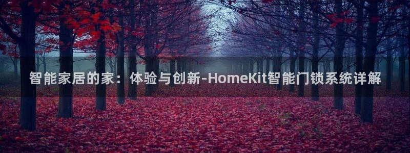 开丰娱乐乙833_43：智能家居的家：体验与创新-HomeK