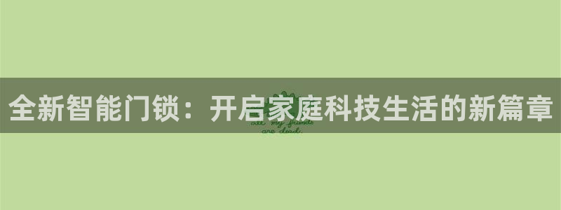 开丰娱乐怎么开转点：全新智能门锁：开启家庭科技生活的新篇章