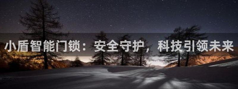 开丰娱乐靠谱吗：小盾智能门锁：安全守护，科技引领未来