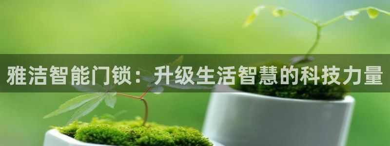 开丰娱乐登录网址：雅洁智能门锁：升级生活智慧的科技力量