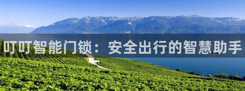 开丰娱乐登入地址在哪查：叮叮智能门锁：安全出行的智慧助手