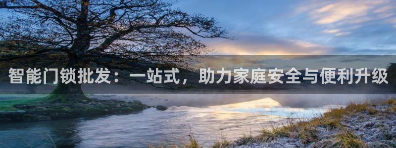 开丰娱乐登入地址在哪儿：智能门锁批发：一站式，助力家庭安全与