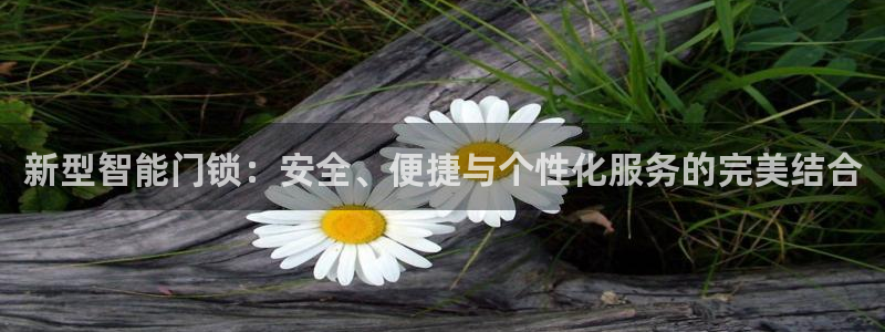 开丰娱乐登入地址是什么：新型智能门锁：安全、便捷与个性化服务