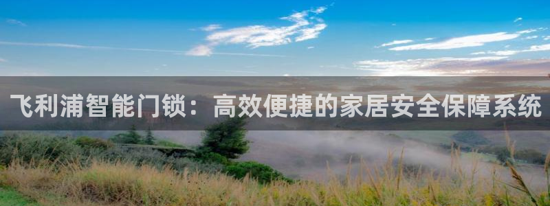 开丰娱乐平台官网网址：飞利浦智能门锁：高效便捷的家居安全保障