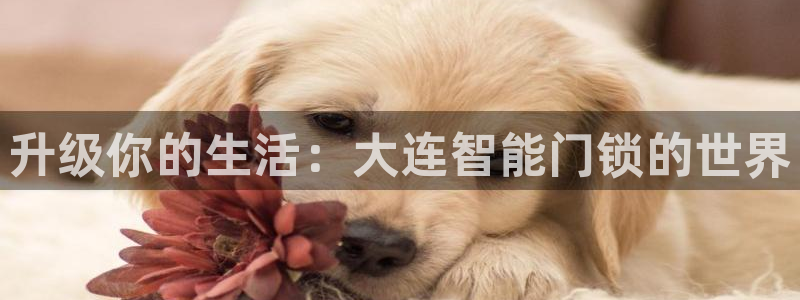 开丰娱乐会员中心：升级你的生活：大连智能门锁的世界