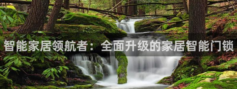 开丰娱乐注册登录：智能家居领航者：全面升级的家居智能门锁