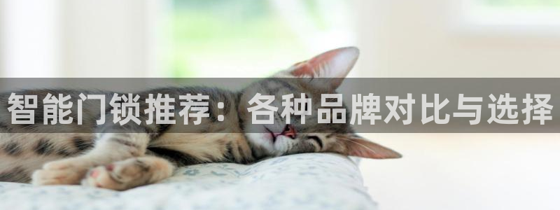 开丰娱乐于六七五一38：智能门锁推荐：各种品牌对比与选择