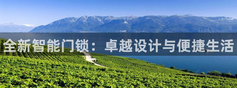 开丰娱乐2登录：全新智能门锁：卓越设计与便捷生活