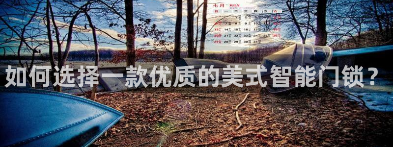 开丰娱乐科技：如何选择一款优质的美式智能门锁？