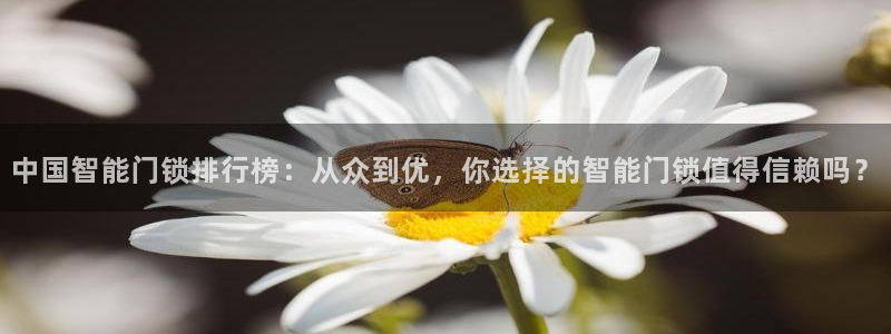 开丰娱乐左7O667：中国智能门锁排行榜：从众到优，你选择的