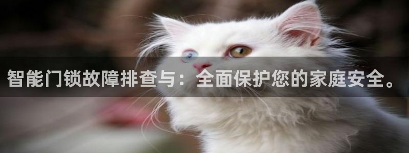开丰娱乐天富娱乐：智能门锁故障排查与：全面保护您的家庭安全。